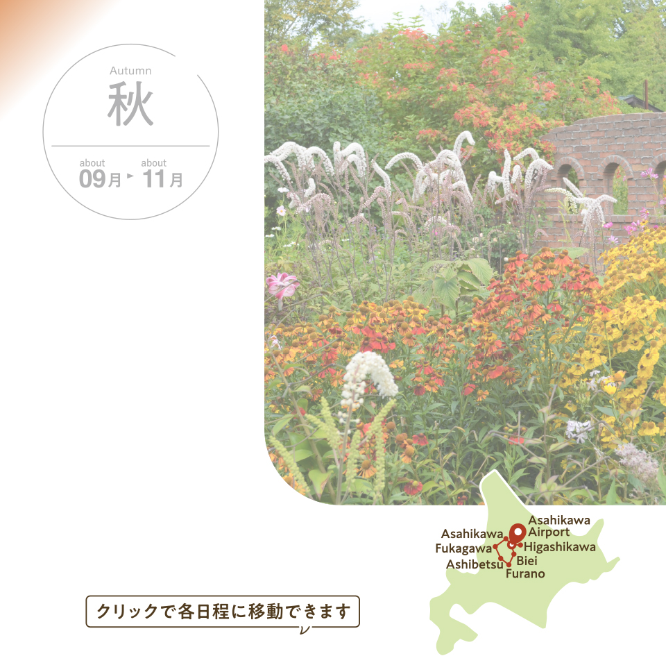 道北アートと景色で 芸術の秋コース