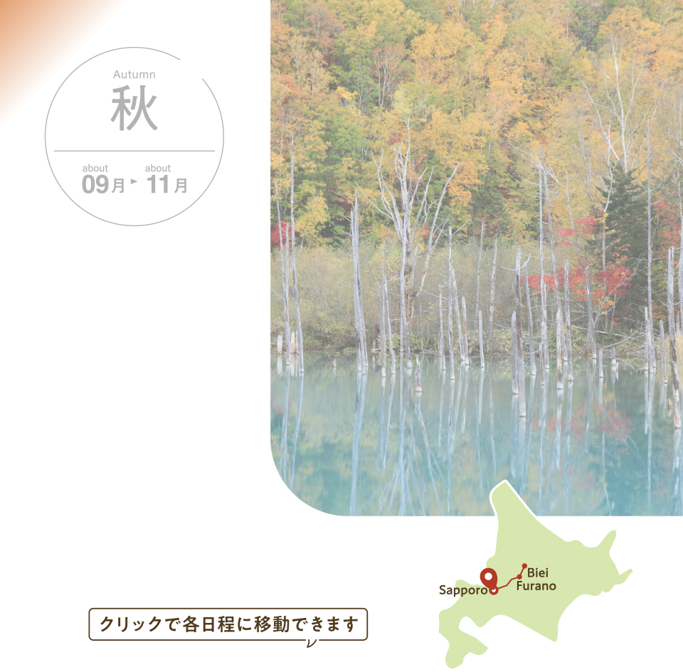 美瑛・富良野満喫コース