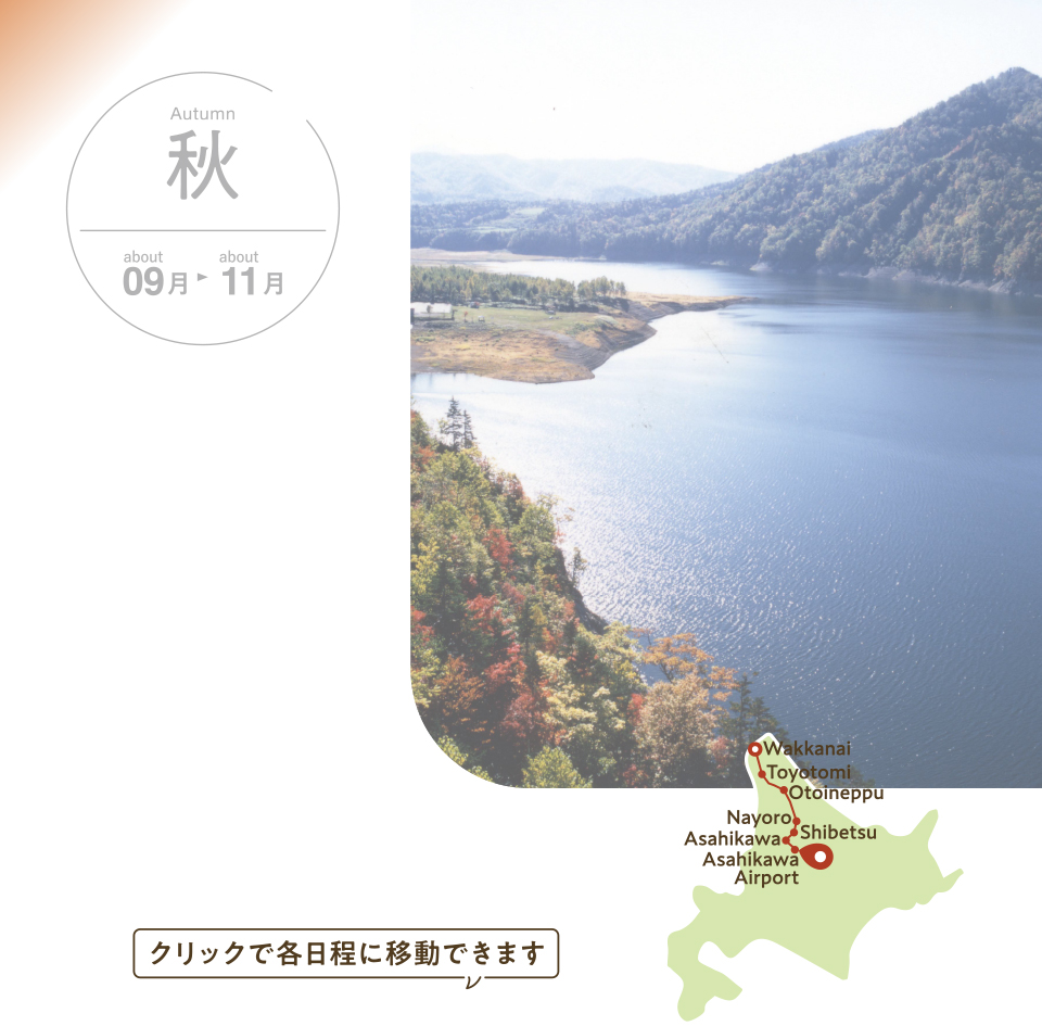 ゆったり秋の道北満喫コース