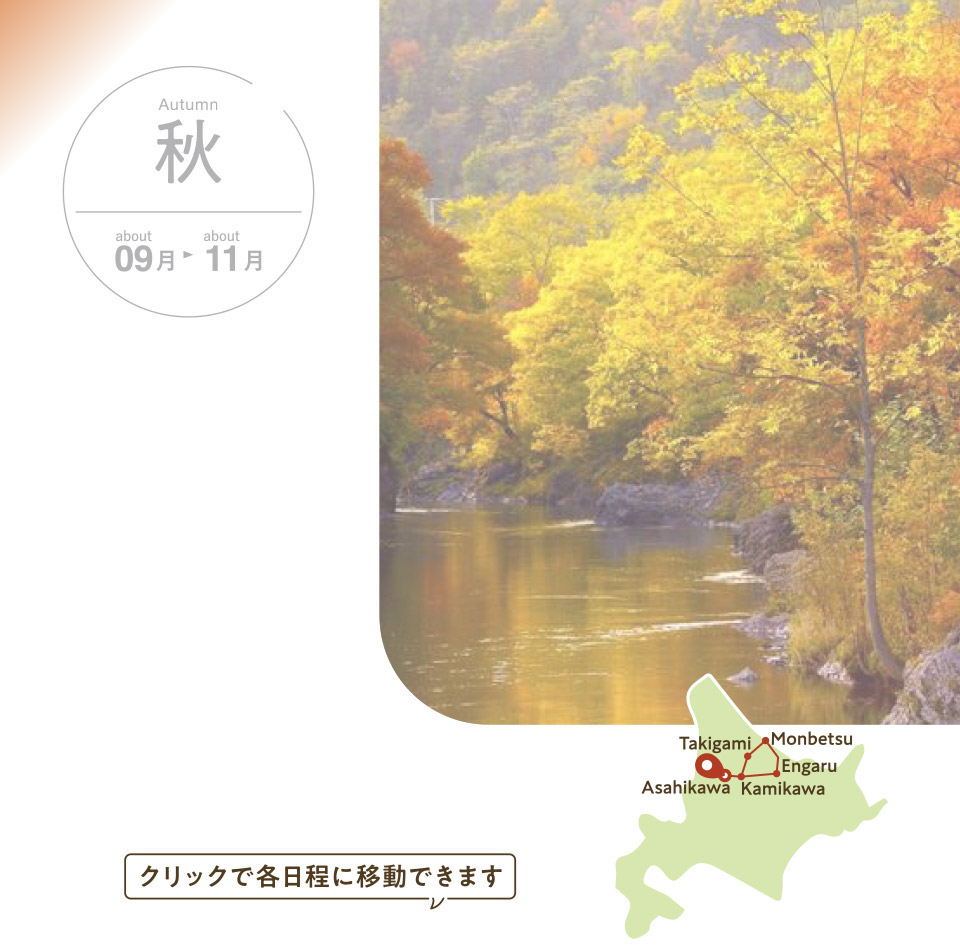 秋の気配を感じる散策コース