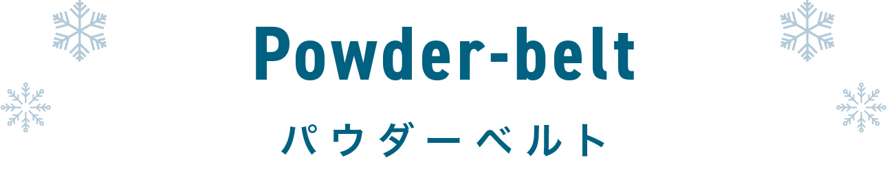 パウダーベルト