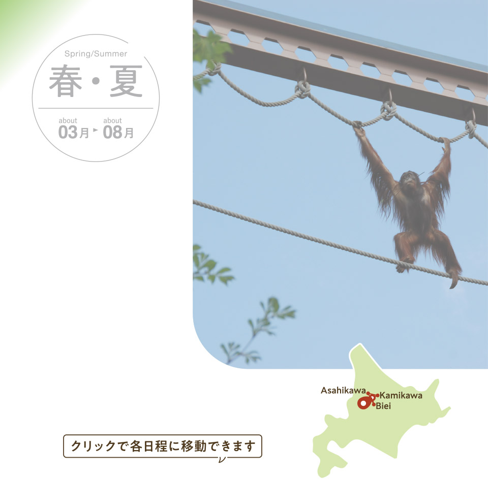 大雪山エリア 満喫