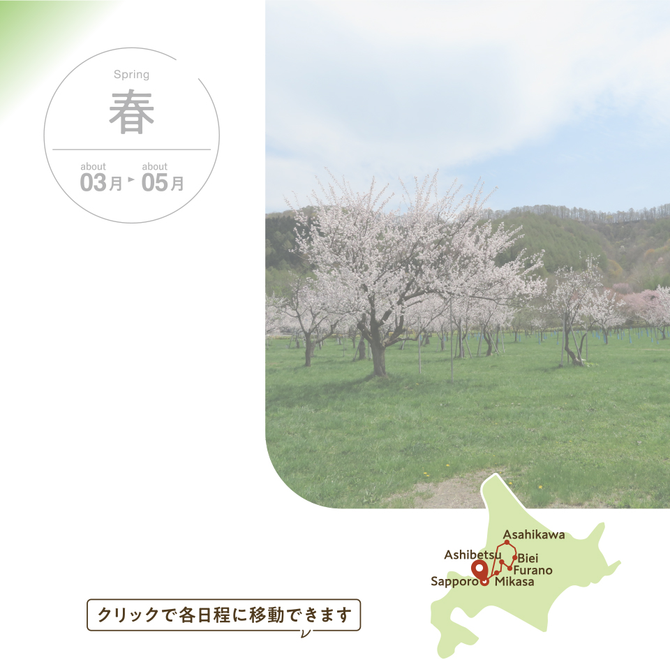 新緑フォトロケーション