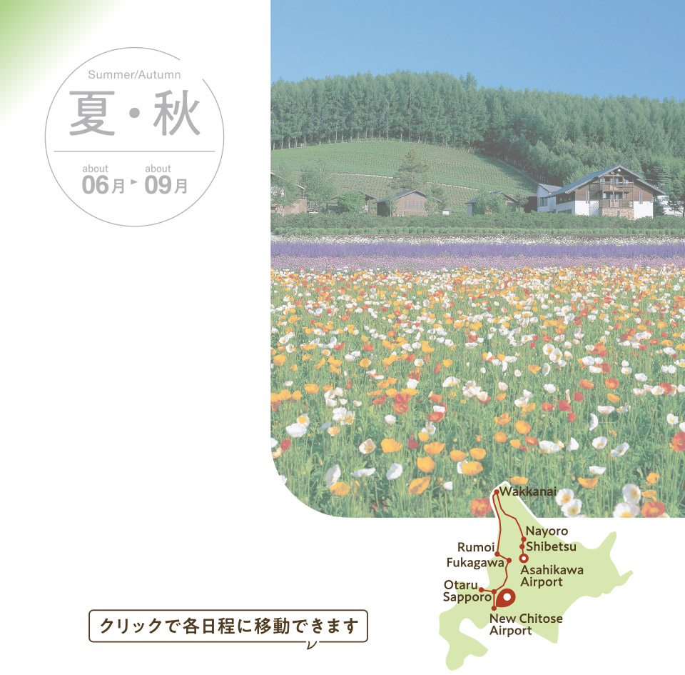 北の大地
ドライブコース