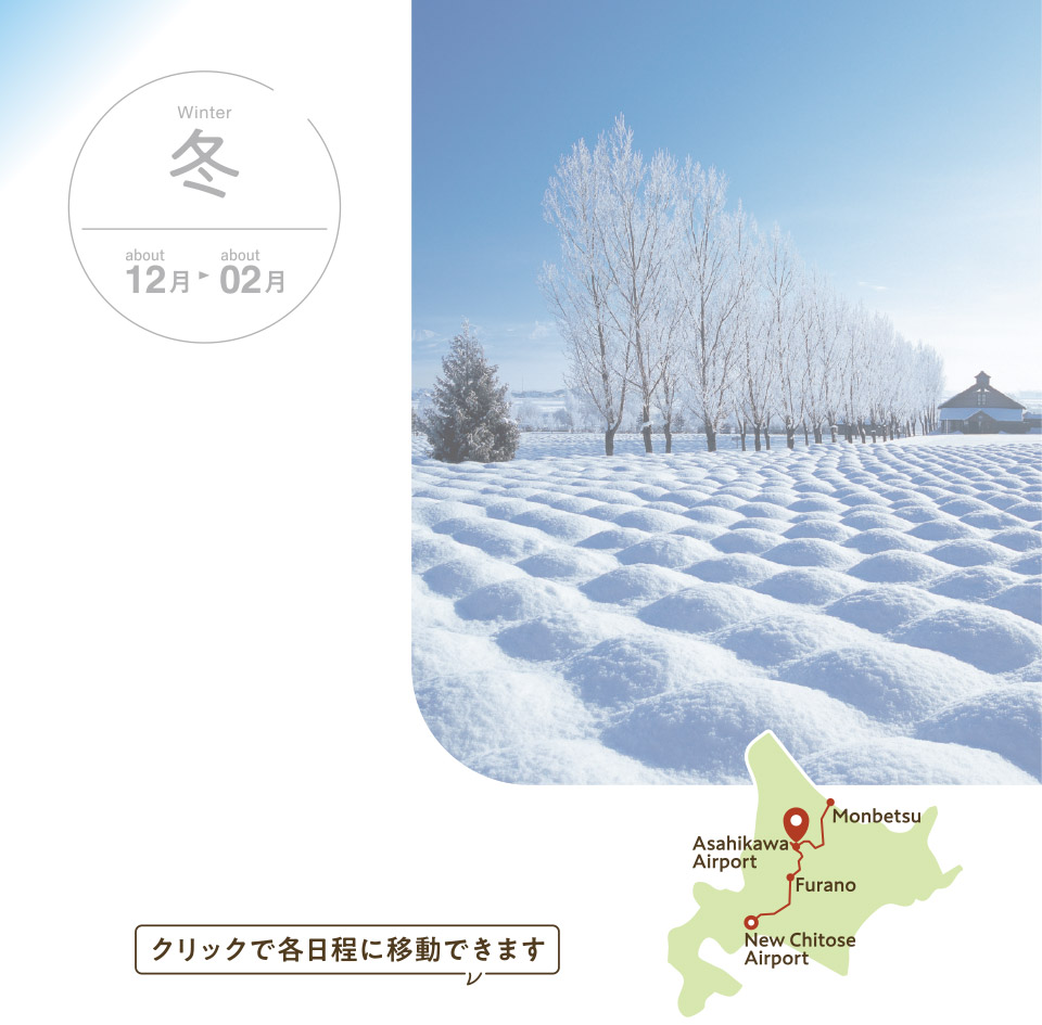 冬のきた北海道
アクティブ旅